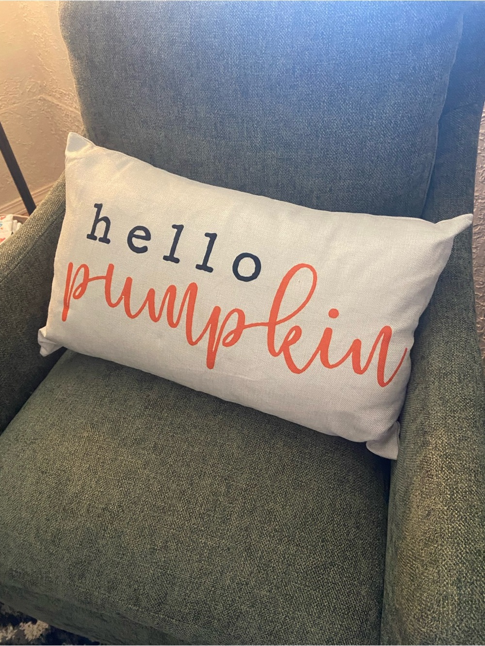Hello Pumpkin Autumn Decorative Pillow - Orange and Black